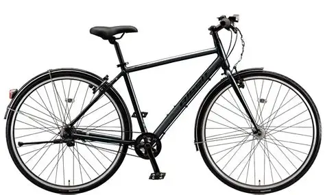 BS　　アルベルトスポーツ入荷！！